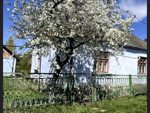 будинок за адресою Нова, 88