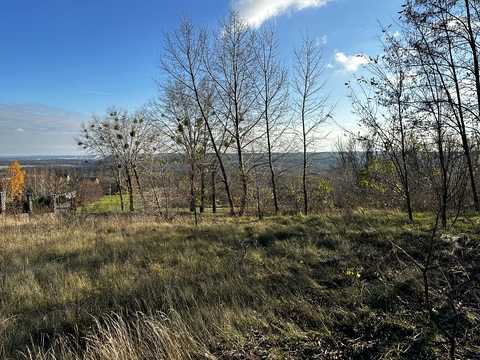 участок по адресу Виноградний