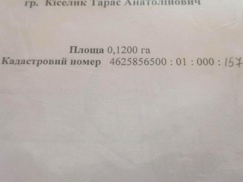 1869501677069189.jpg