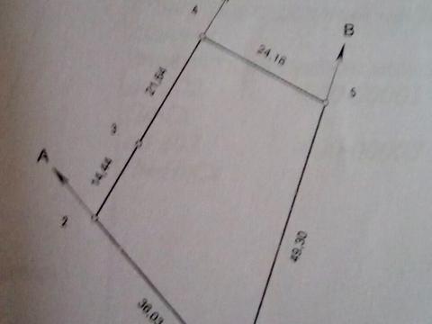 1869501677362975.jpg