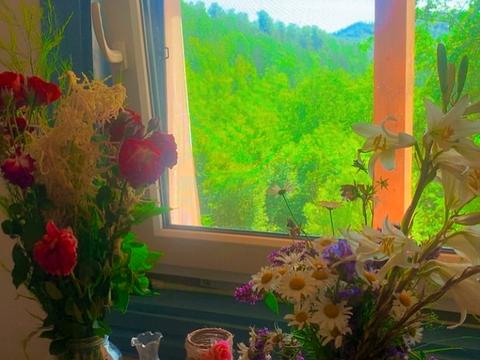 дом по адресу Віпчанка