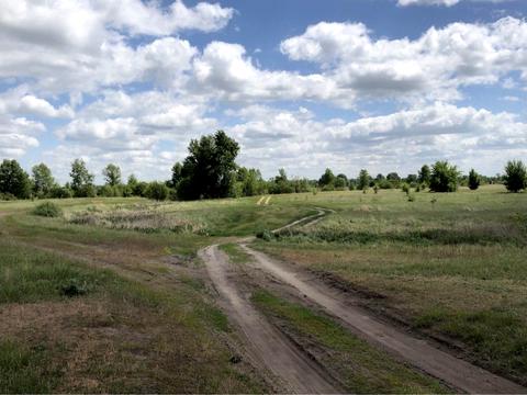 ділянка за адресою Корнійчука