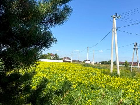 участок по адресу Щаслива