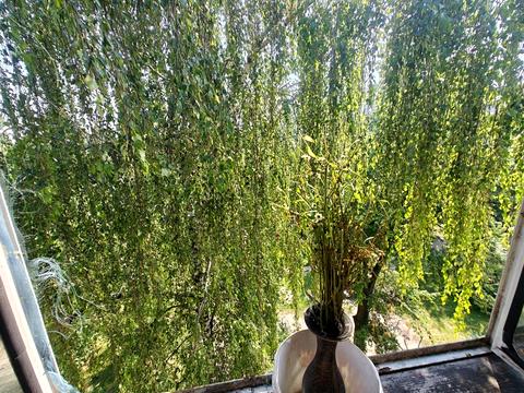 квартира по адресу Зодчих ул., 50-А