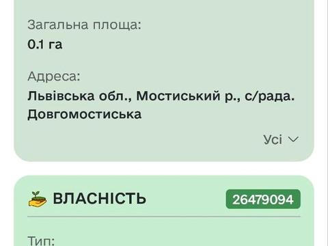 участок по адресу с. Княжий Мост, 