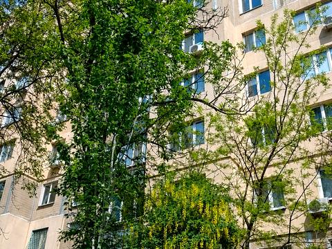 квартира по адресу Балковская ул., 199
