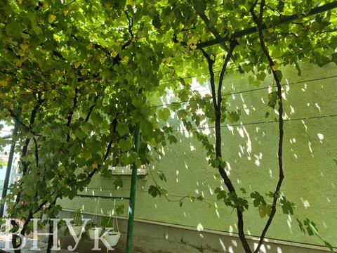 дом по адресу Кальмана Міксата ул., 16