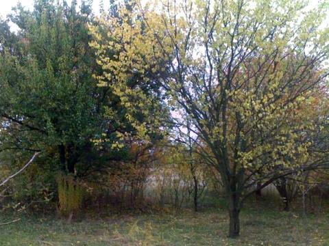 будинок за адресою щорса