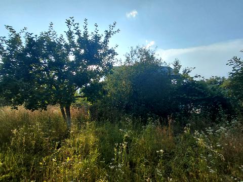 будинок за адресою с. Гаї-Шевченківські, Лісова