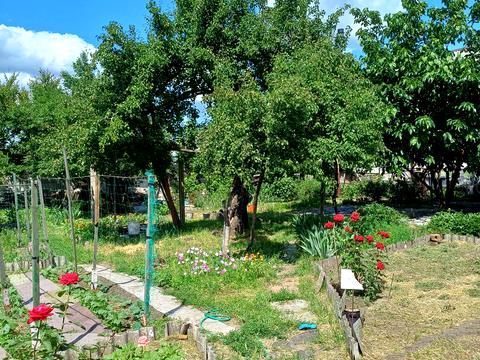 ділянка за адресою Робоча вул.