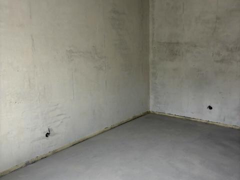1869589871081308