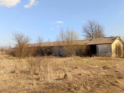 комерційна за адресою лесі українки, 3