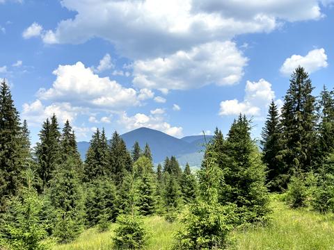 ділянка за адресою смт. Верховина, Кривець