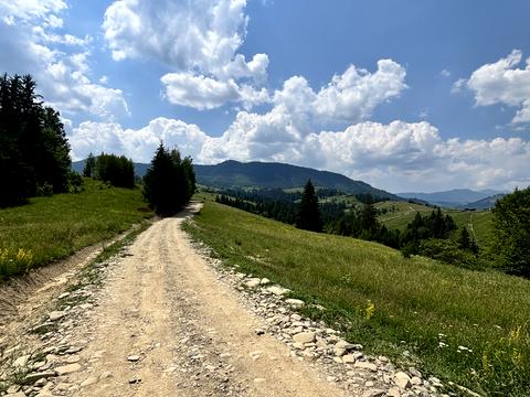 ділянка за адресою смт. Верховина, Кривець