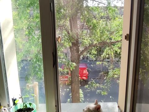 квартира по адресу Новосельского ул., 16