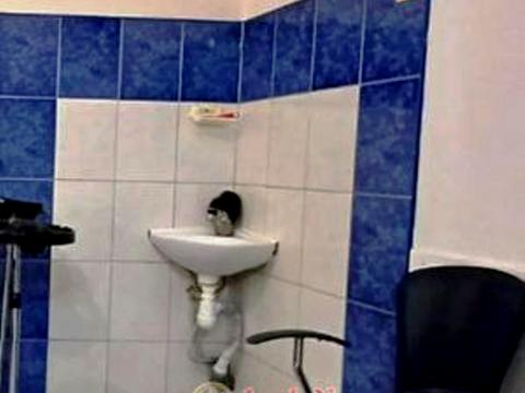 комерційна за адресою Ярослава Баїса вул. (Володимира Висоцького), 11