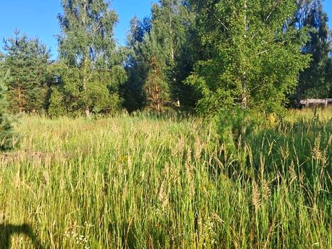 ділянка за адресою с. Гориця, попудренка