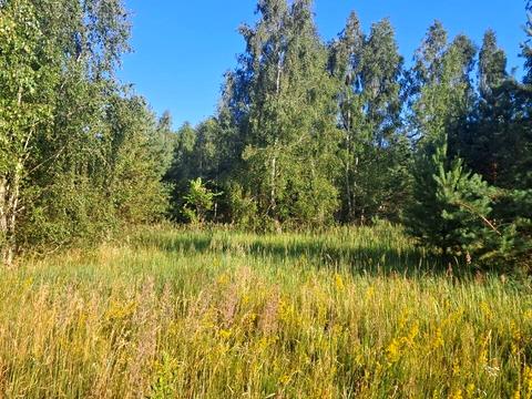 ділянка за адресою с. Гориця, попудренка