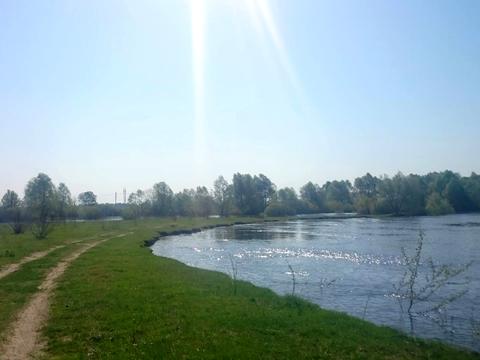 ділянка за адресою с. Гориця, попудренка