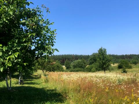 ділянка за адресою Лісова