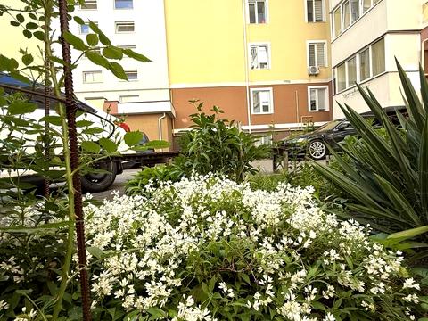квартира по адресу Лесная ул., 6-К