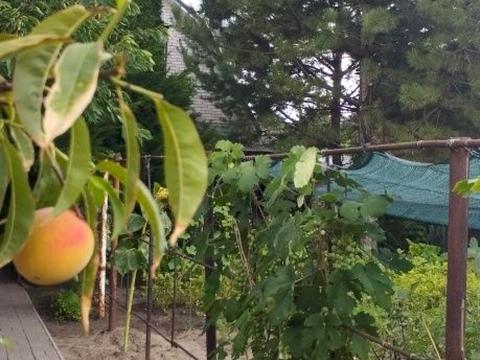 дом по адресу Радостная ул.