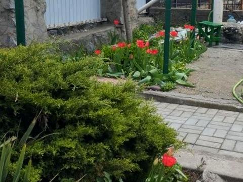 дом по адресу Радостная ул.