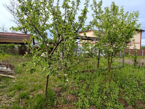 дом по адресу Яровая ул. (Червоноармійська)