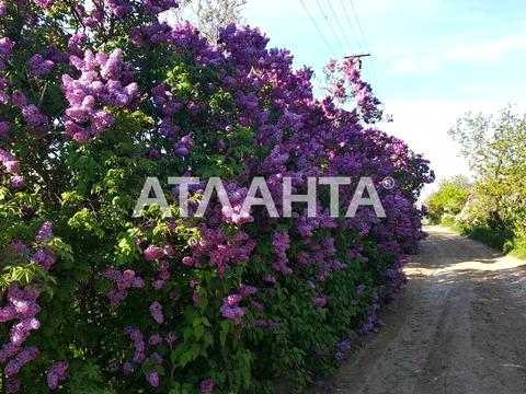 будинок за адресою с. Христинівка, Надежді