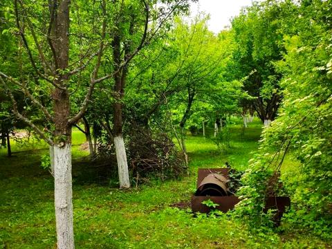 будинок за адресою Нема
