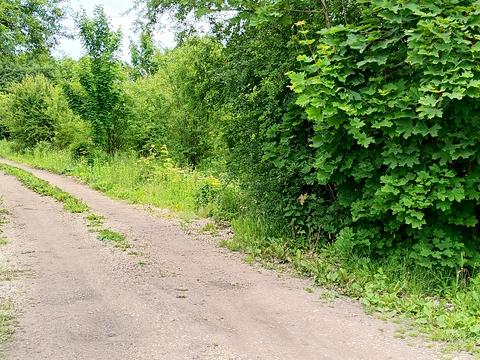 будинок за адресою Зелена вул.