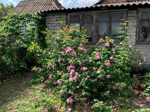будинок за адресою Йосипа Пачоського вул. (Аврори), 74