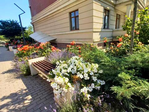 квартира за адресою Трамвайна вул., 27