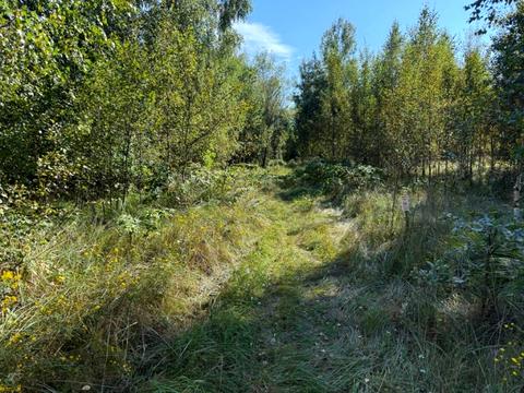 ділянка за адресою Лесі Українки