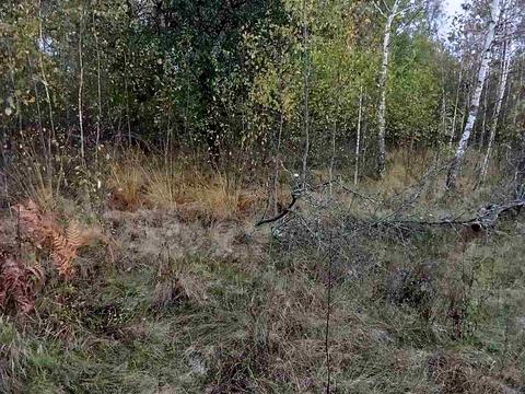 ділянка за адресою Лесі Українки