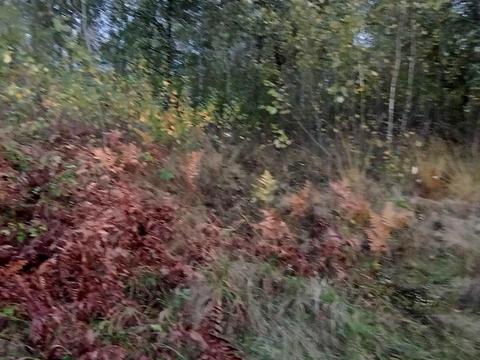 ділянка за адресою Лесі Українки