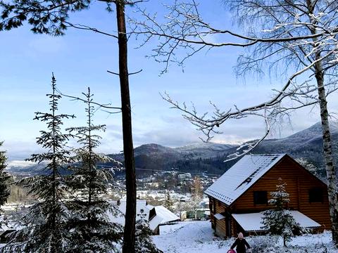 будинок за адресою с. Шешори, Шевченка