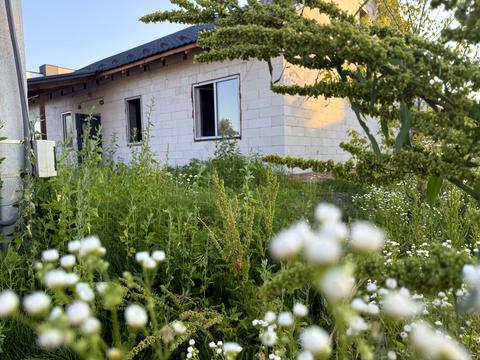 дом по адресу Ивана Мазепы ул., 5