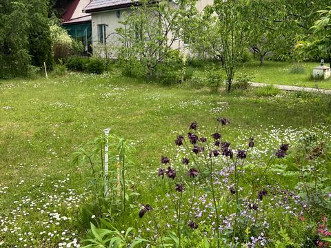 будинок за адресою Бровари, Академсади