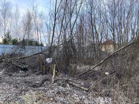 дом по адресу пасічна