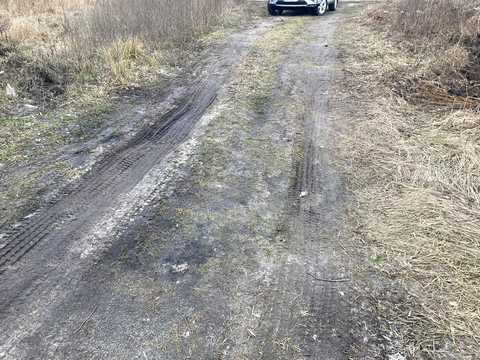 дом по адресу пасічна