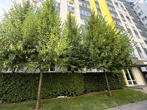 квартира по адресу Григория Сковороды ул., 11/5
