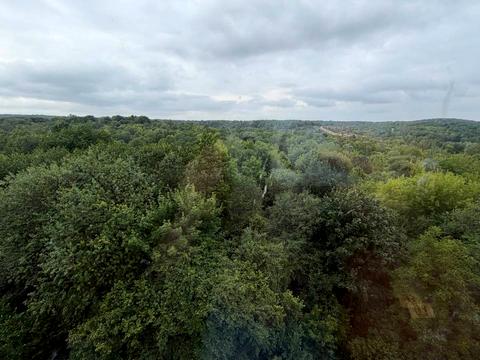 квартира за адресою Пилипа Орлика вул., (Будинок А)
