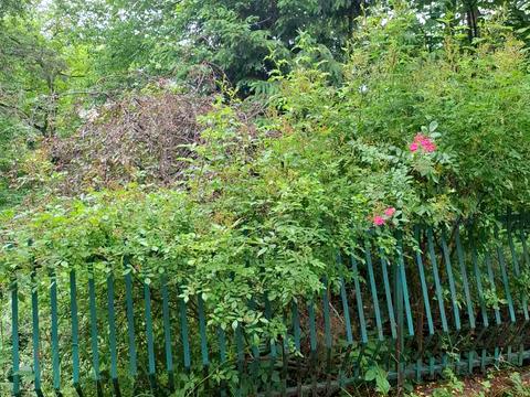 квартира за адресою Зелена вул., 93