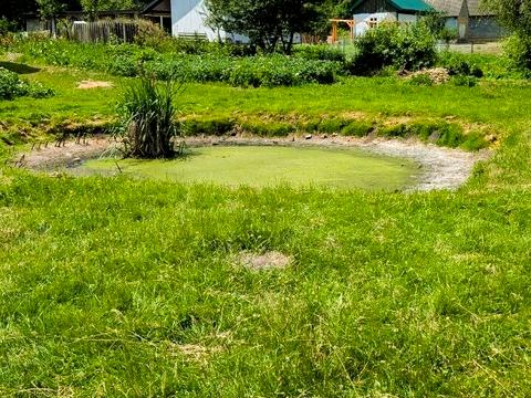 ділянка за адресою с. Паланки, Проектна