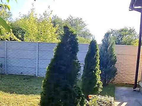 1869811529905413