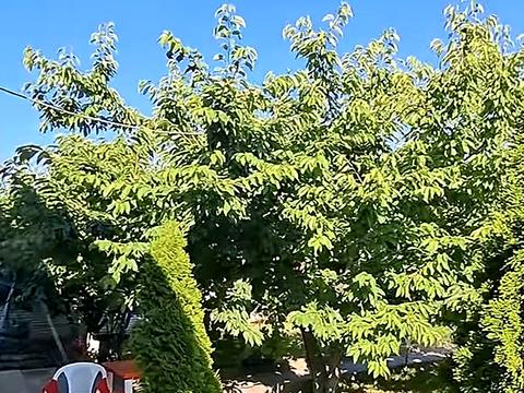дом по адресу Рай-Оленівська ул.