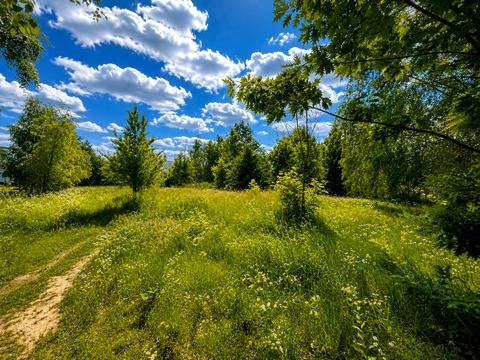 ділянка за адресою Печерська вул.