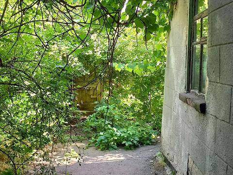 дом по адресу Черняховского пер. (Черняховського)