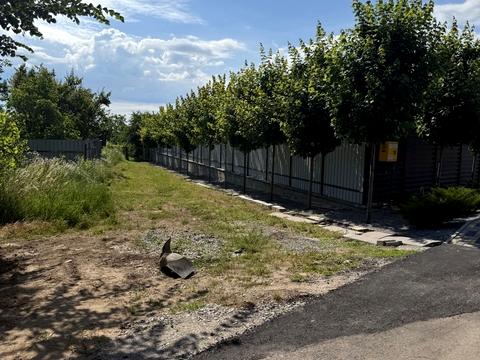 ділянка за адресою Зоряна